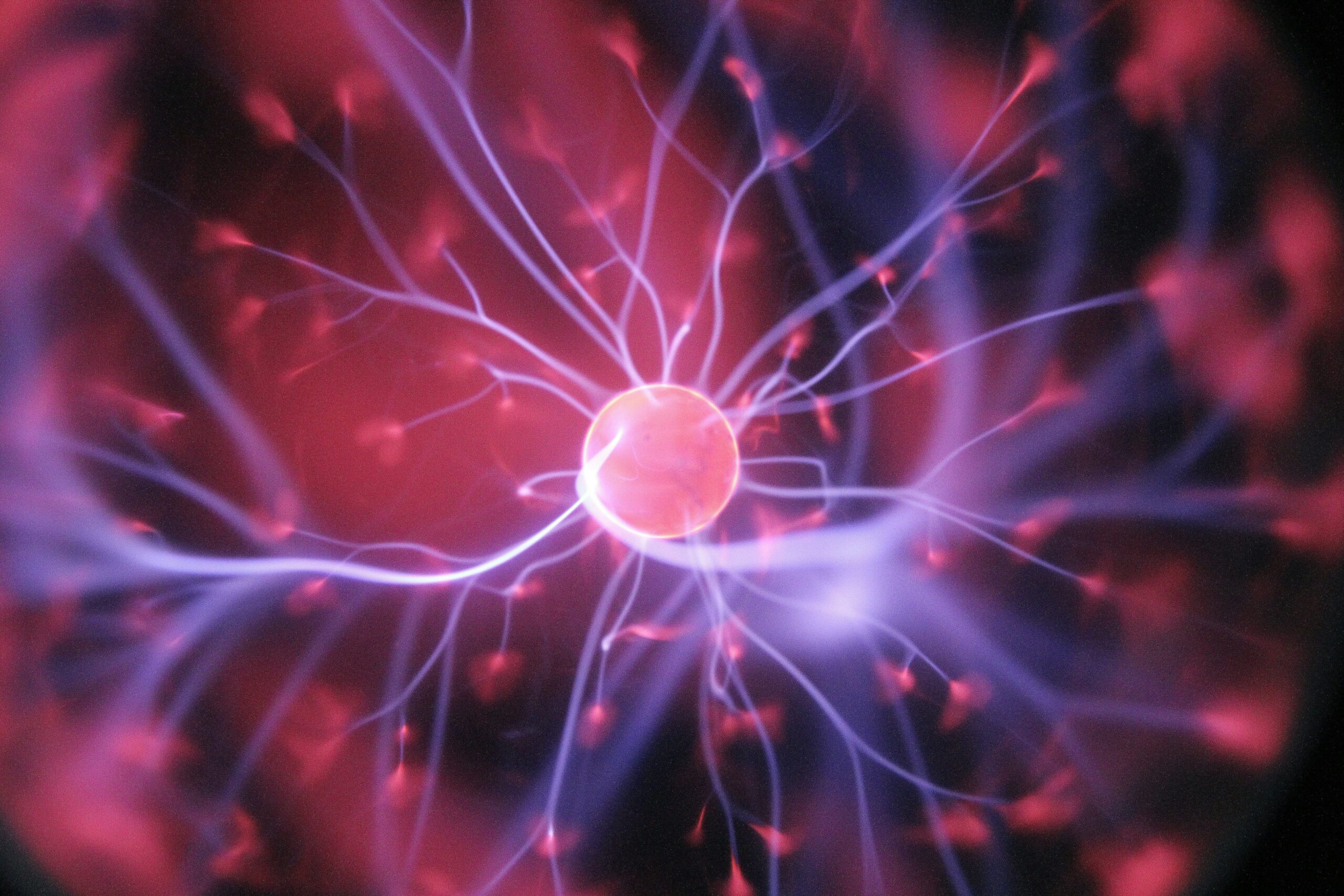 Brain Connections